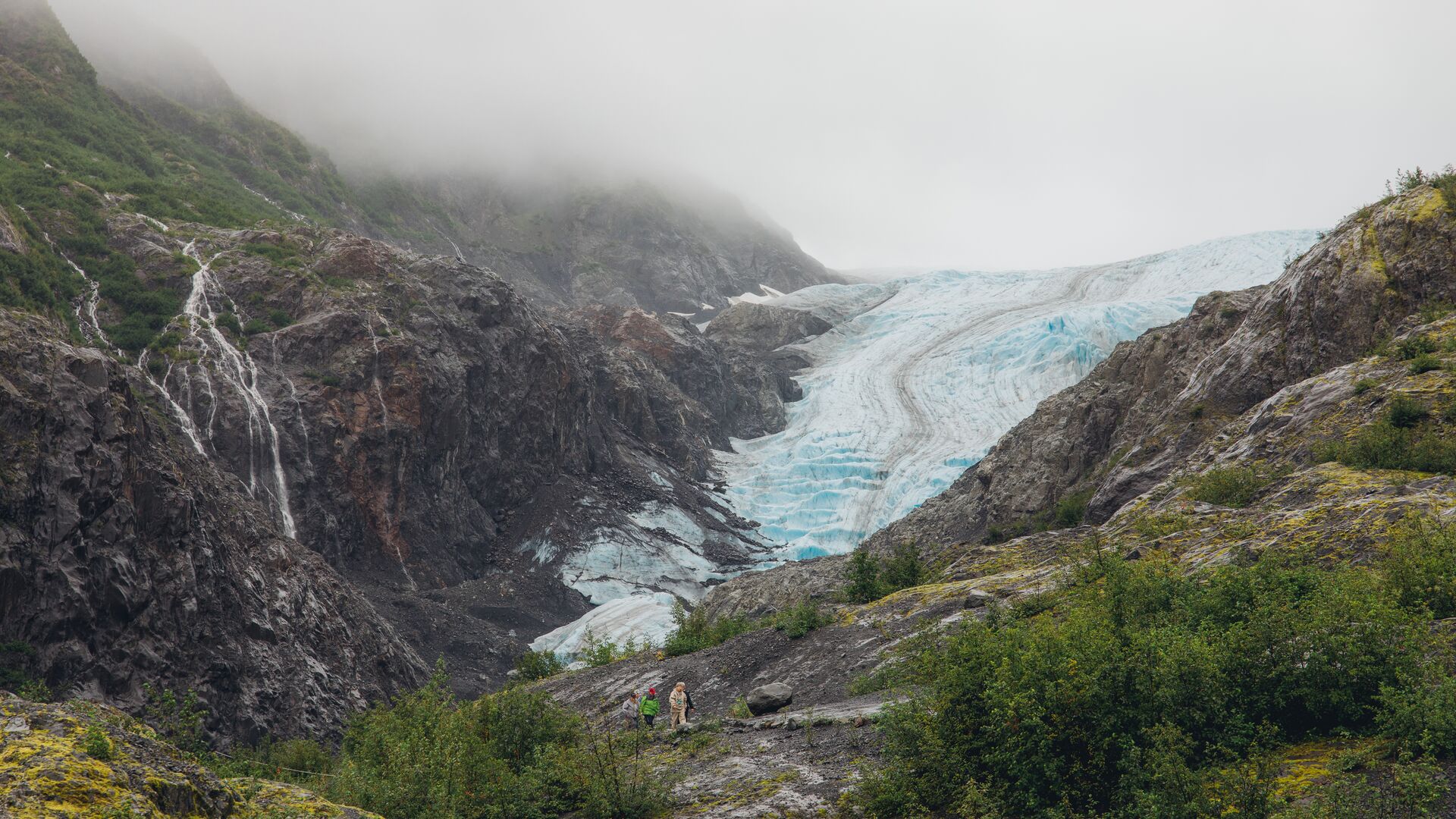 Four hikers walking the trail to Exit Glacier and Harding Ice Field in Alaska