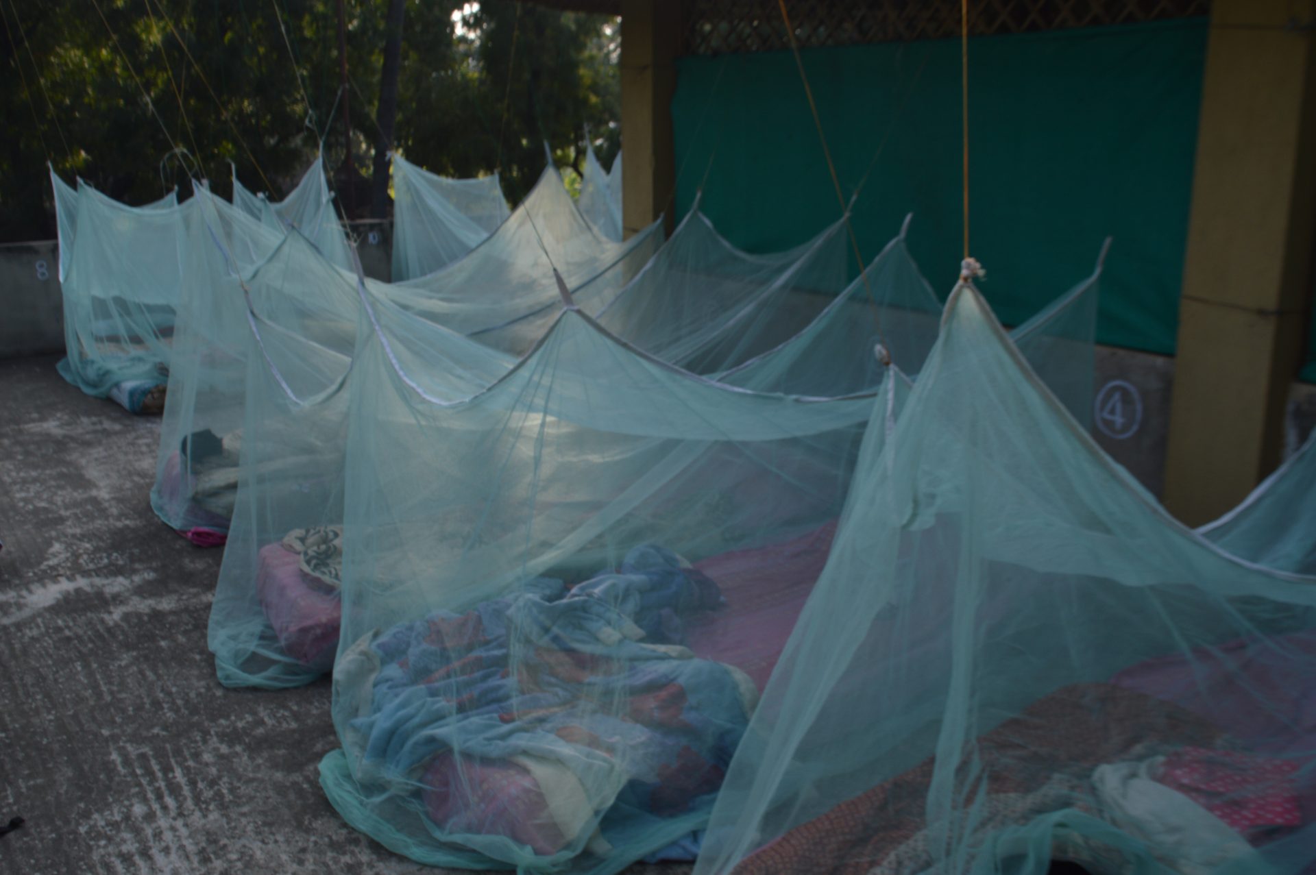 A simple sleeping set up with mattresses and bug nets on a hostel roof in India