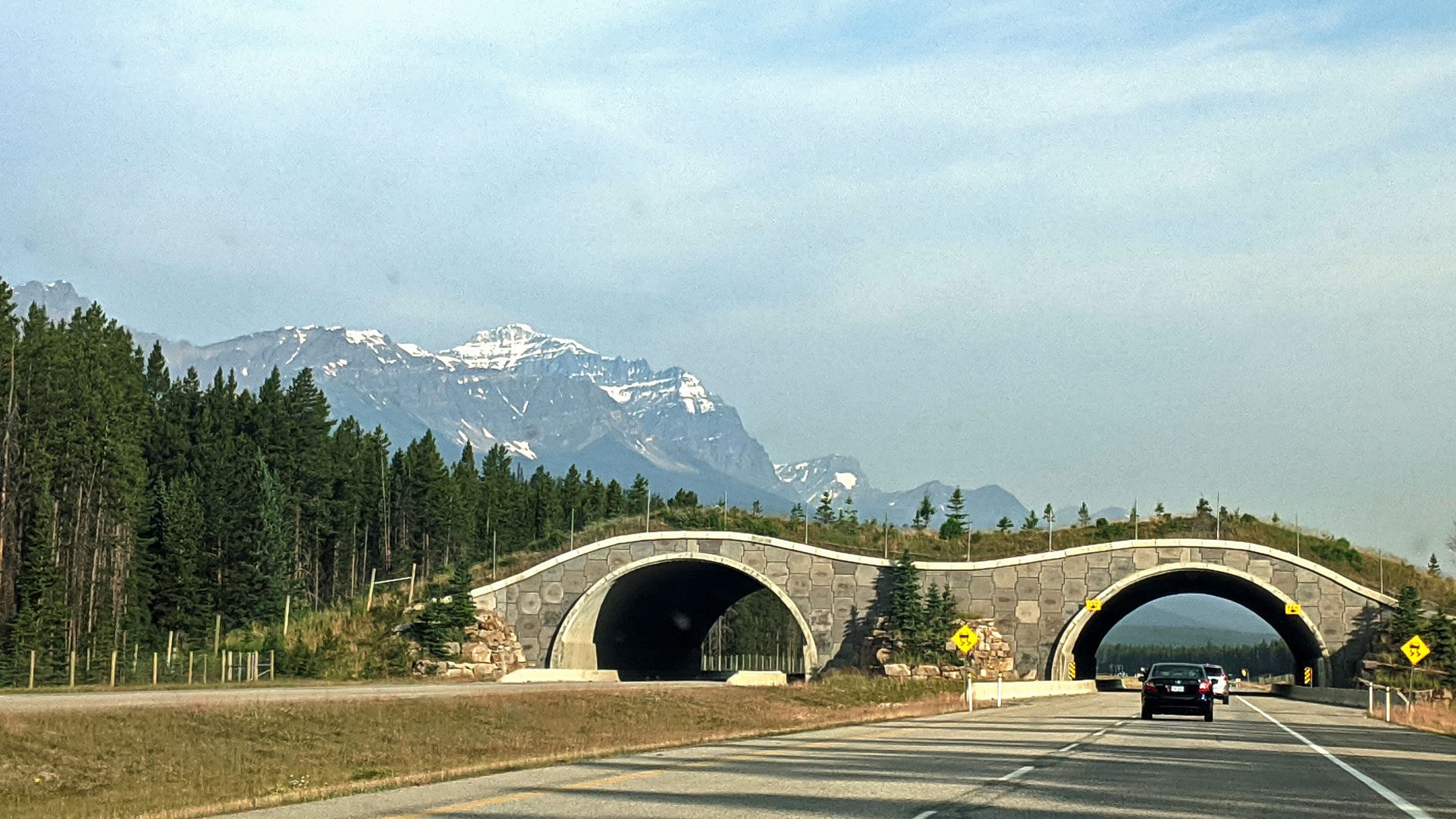 Wildlife crossing in Banff National Park