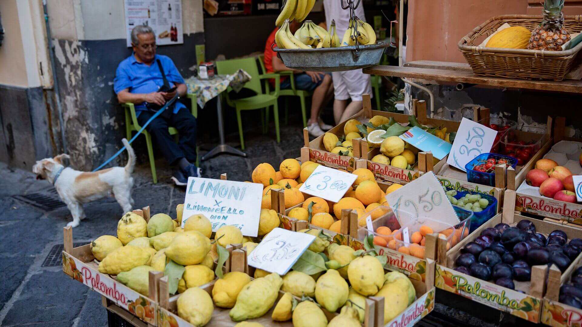 A man sits with his dog close to a stall of fresh fruit