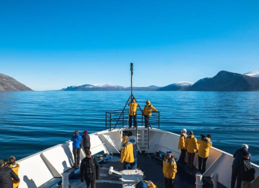 intrepid travel newfoundland