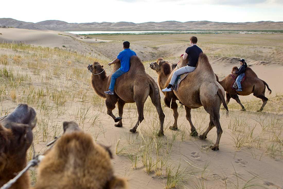 intrepid travel mongolia