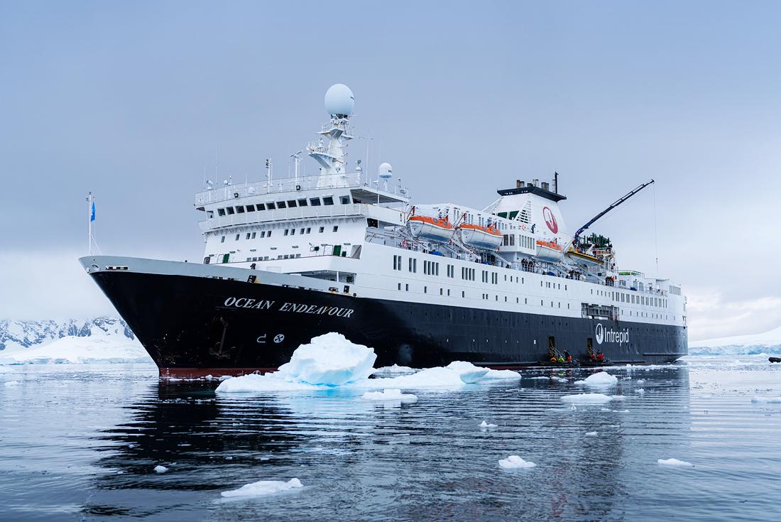 Best Antarctica Cruises & Tours 2023 / 2024 Intrepid Travel AU
