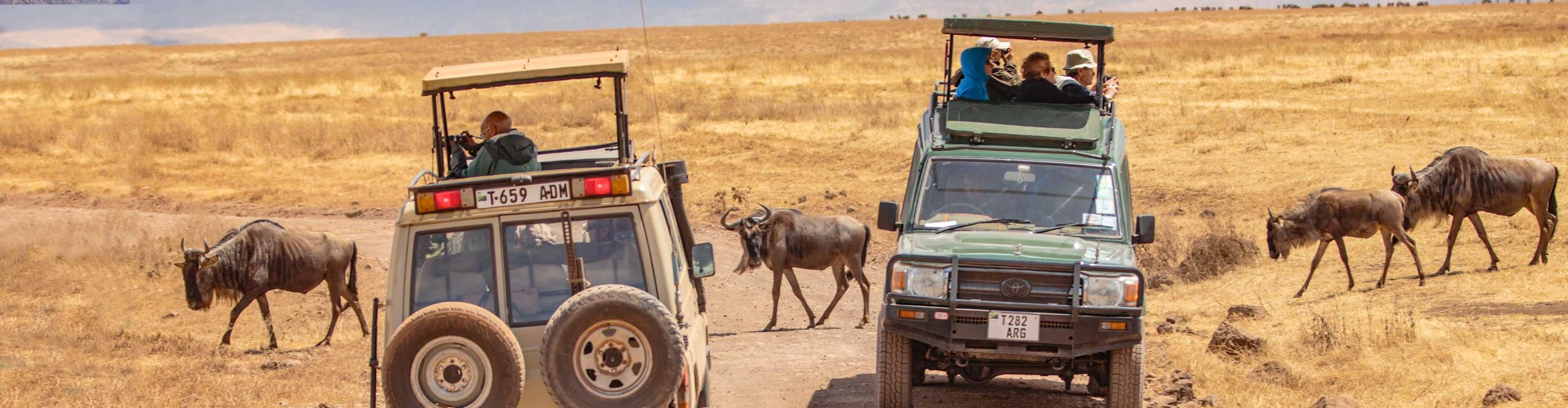 Best Africa Safari Tours & Vacations 2024/2025 | Intrepid Travel US