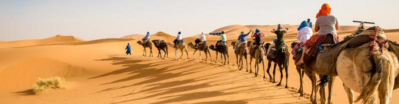 Travelers on a private tour set off across the sahara desert on camels