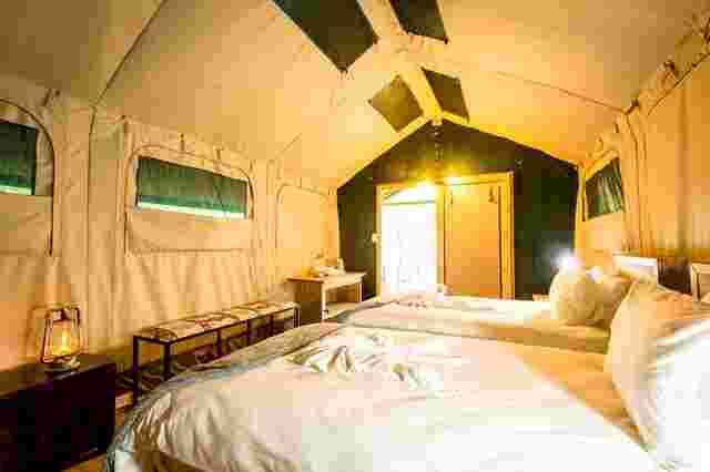Two crisp white beds in a comfortable tent on a Kruger safari