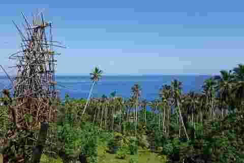 The high wooden platform used for the land diving ceremony in Vanuatu 