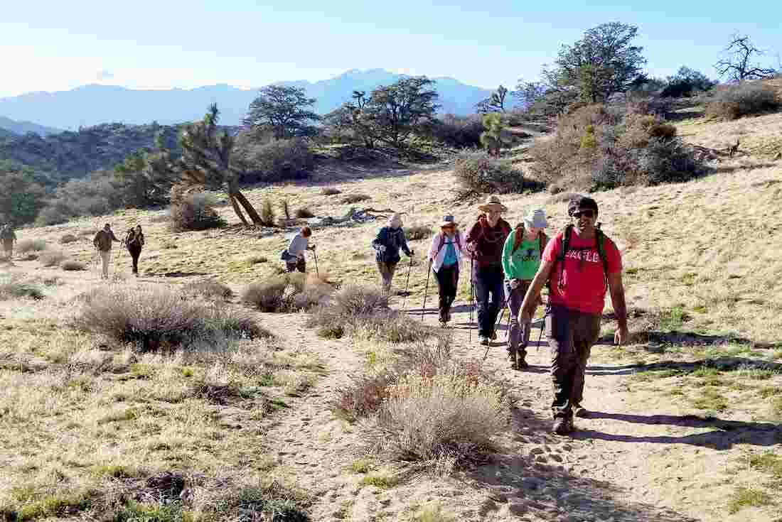 Tour group hiking through Joshua Tree National Park, California, USA