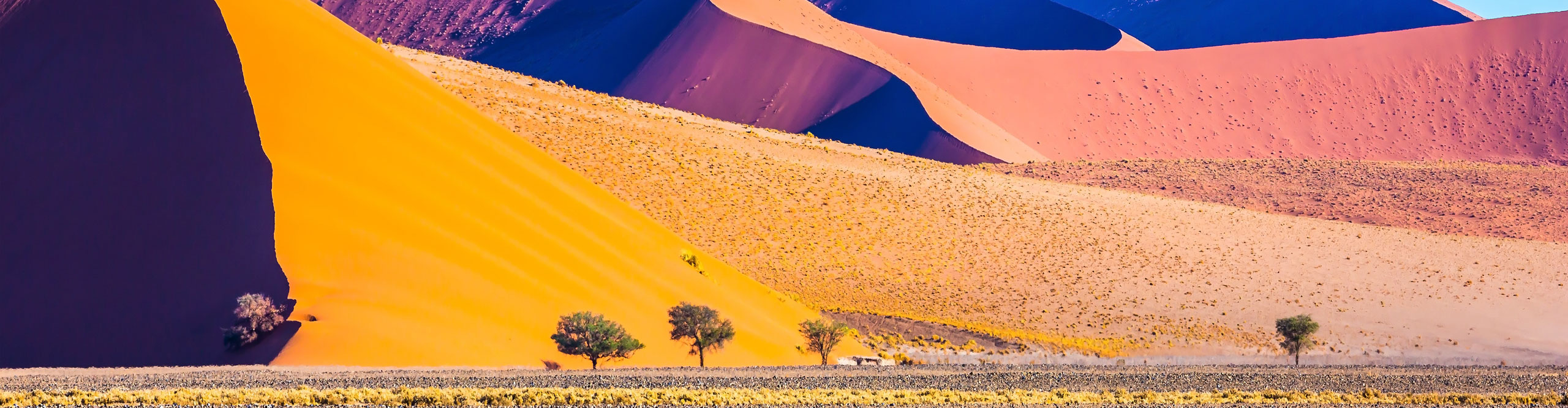 Best Namibia Tours Vacations 2024 2025 Intrepid Travel US   Intrepid Travel Shutterstock 636680773 2560 Travel To Namibia. Namib Naukluft National Park. Fancifully Curved Sharp Crests Of Orange DunesTravel To Namibia Namib Naukluft National Park Fancifully Curved Sharp Crests 