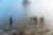 india agra taj mahal fog walking