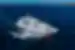 Aerial View of Grand Daphne