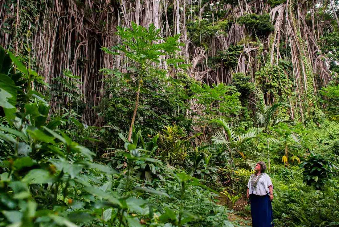 Vanuatu Expedition