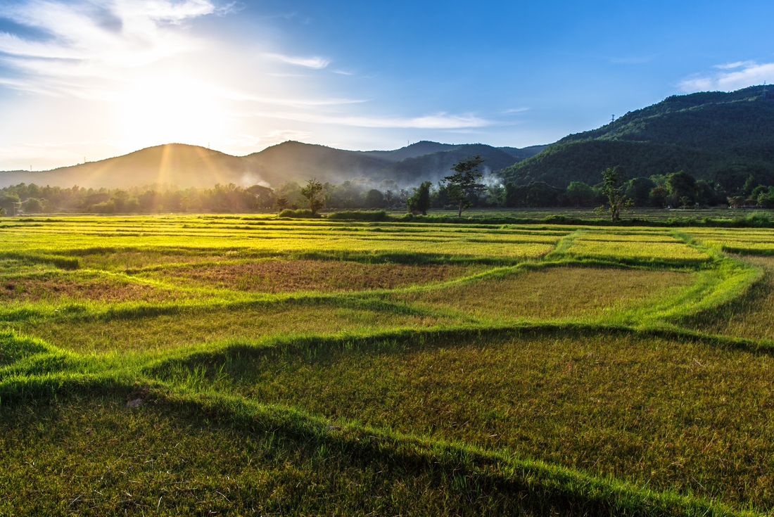 Highlights of Thailand