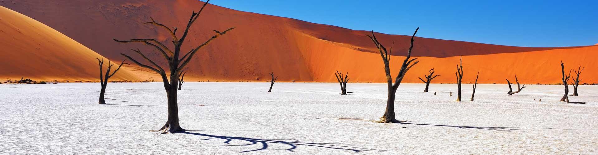 Best Namibia Tours & Vacations 2023/2024 | Intrepid Travel US