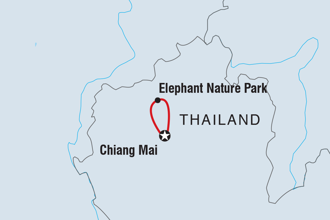 Chiang Mai & Elephant Experience