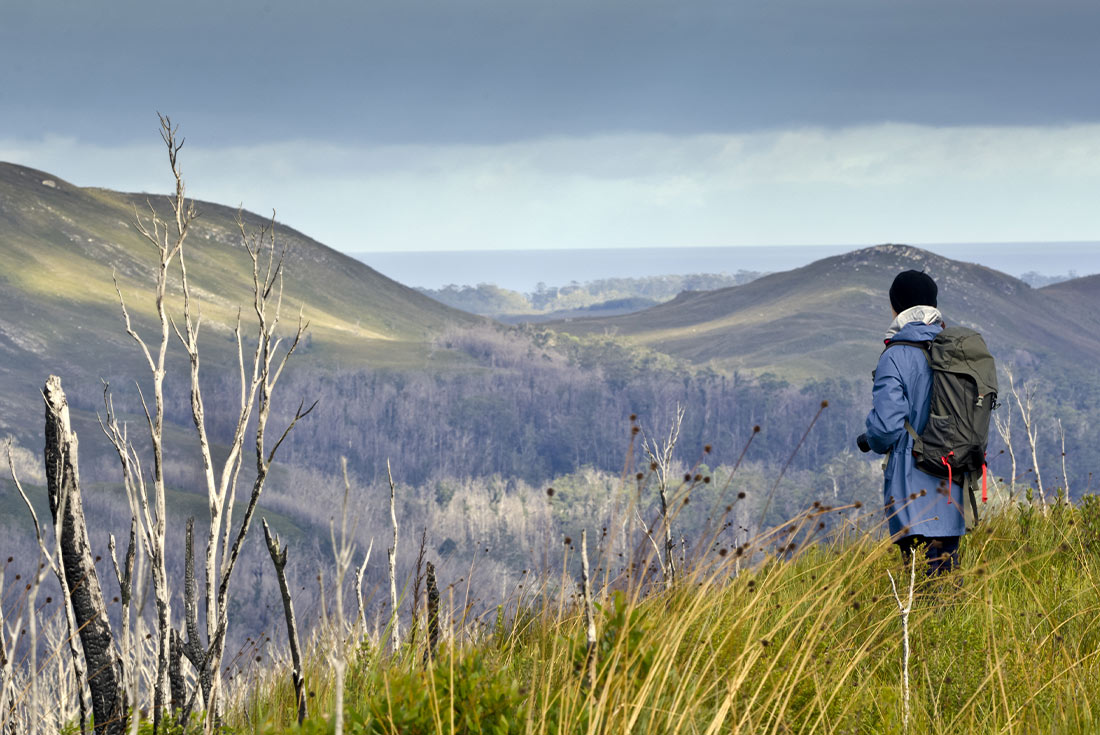 Hike Tasmania's Tarkine Wilderness