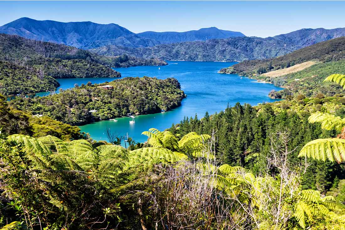 Queen Charlotte Track