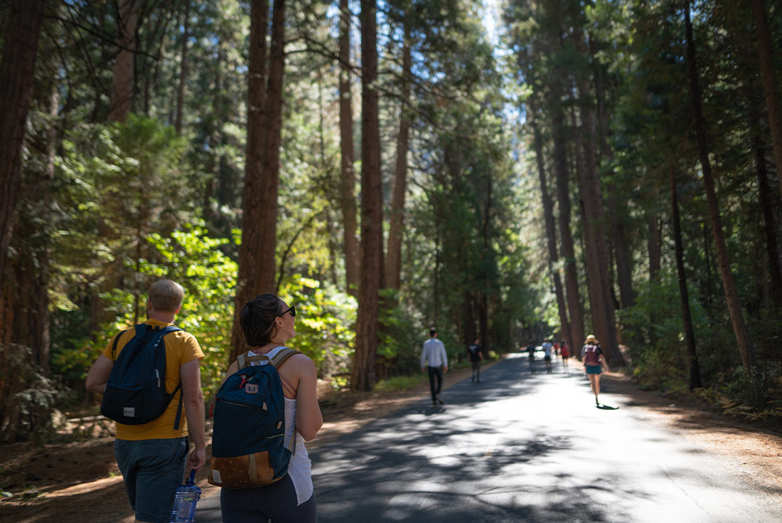 Yosemite national store park hiking trails