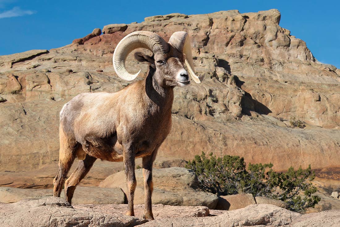 Hiking the Best of Rocky Mountain National Park