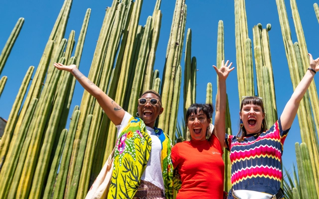 Travelers Infront of cactus trees