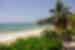 Sand, palm trees and blue sky at the Beach in Mirissa, Sri Lanka