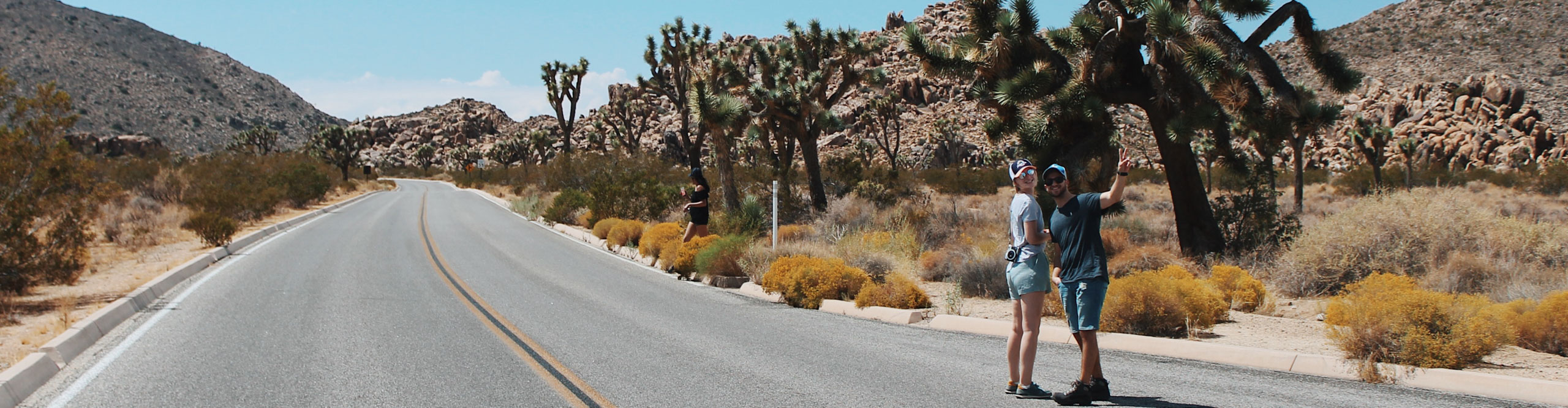 Best Time To Visit Joshua Tree National Park | Intrepid Travel US