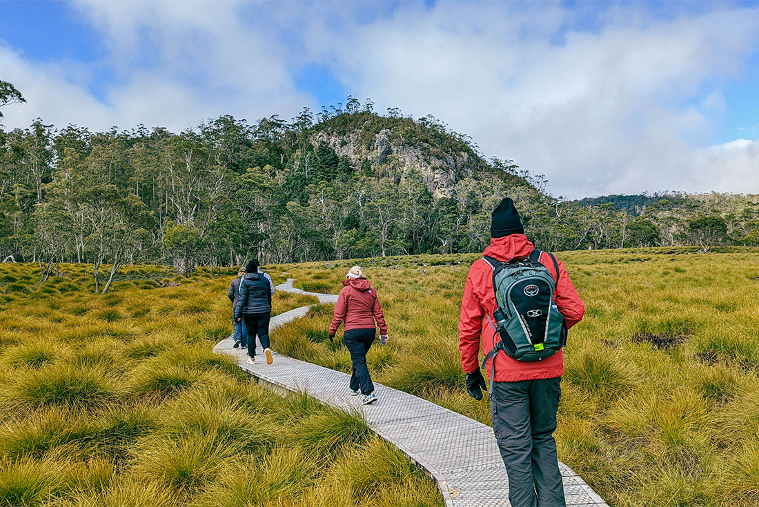 Premium Tasmania