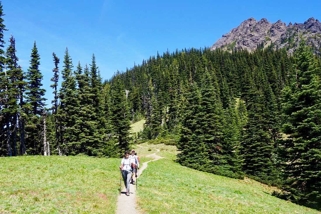 Hiking Washington's Olympic National Park