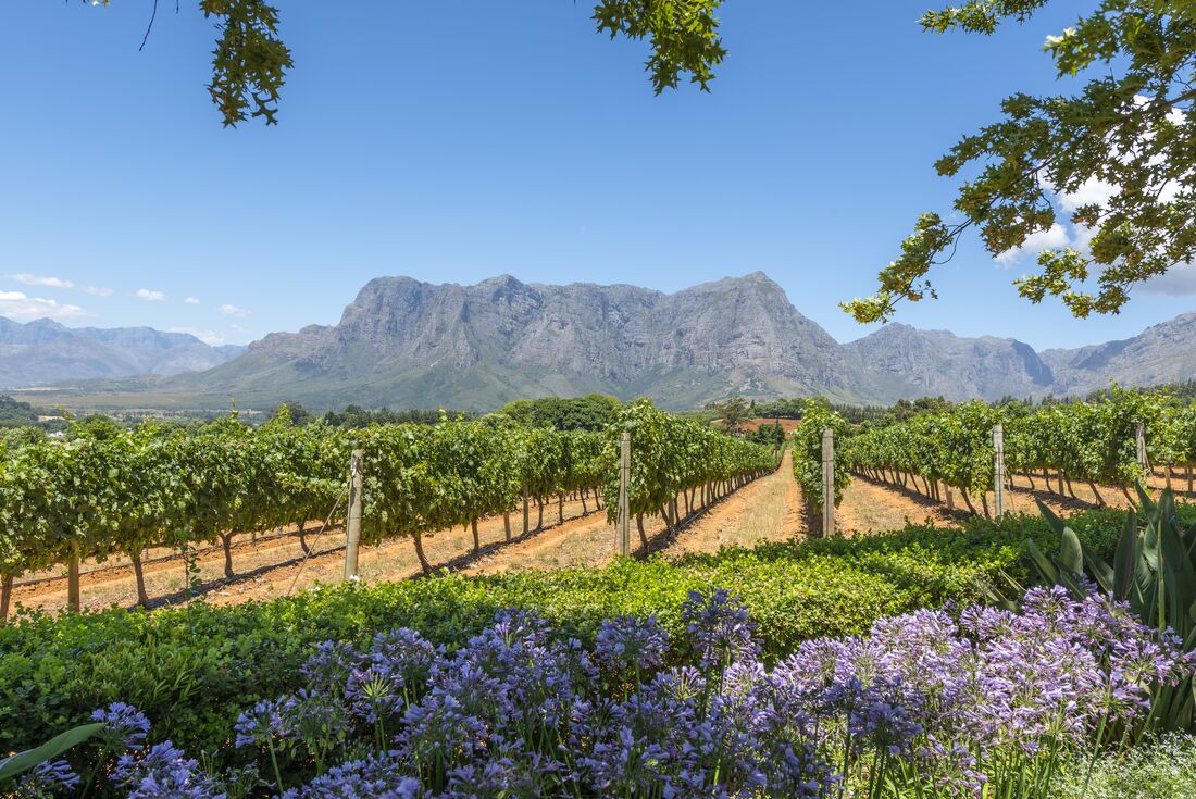 Cape Town & Winelands