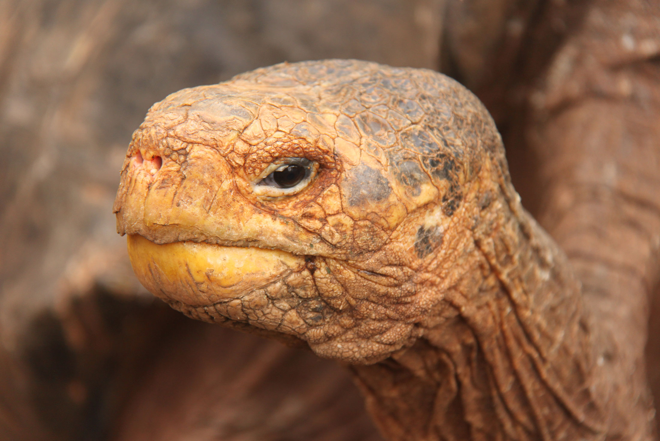 One Week in the Galapagos Islands