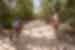 Travellers cycling on dirt path surrounded by trees in Mayan City, Coba, Mexico