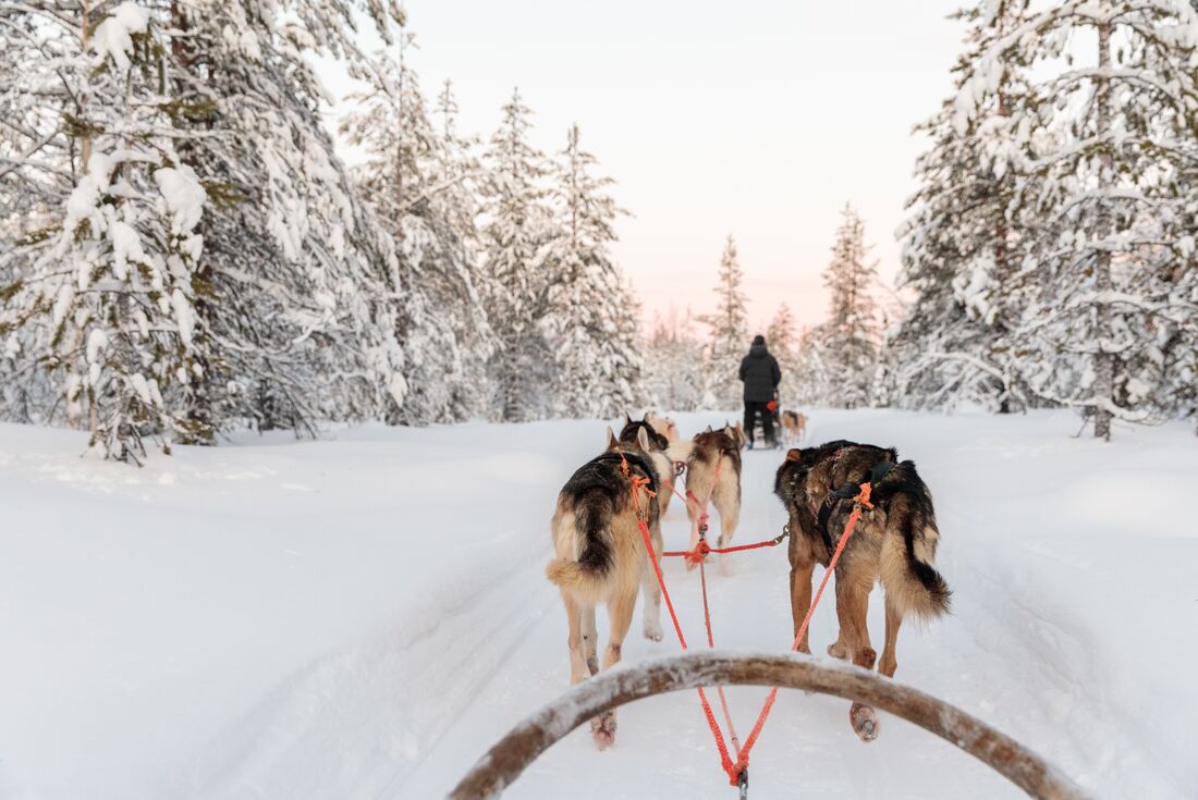 Finnish Lapland Winter Family Holiday