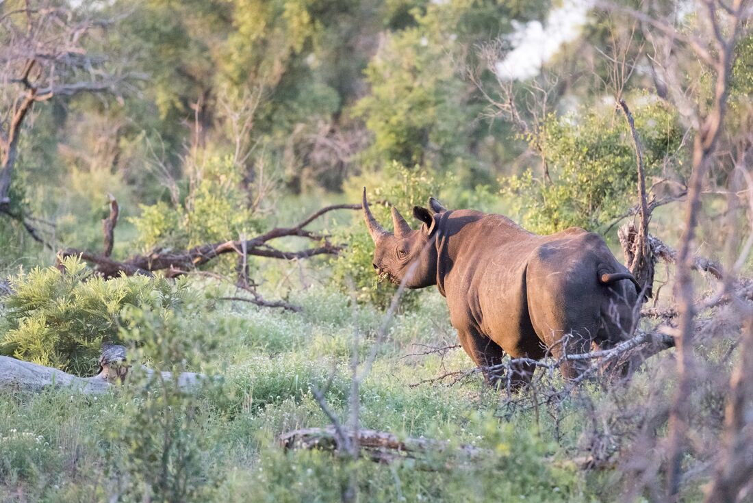 Explore Southern Africa