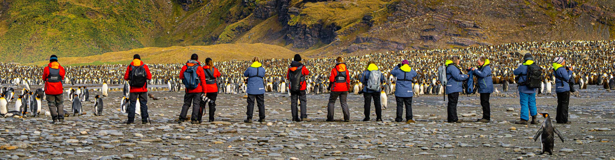 Falkland Islands Tours Vacations 2024 2025 Intrepid Travel US   Intrepid Travel Antarctica OE3 Falkland Islands Tour Group Penguins 42 2560  