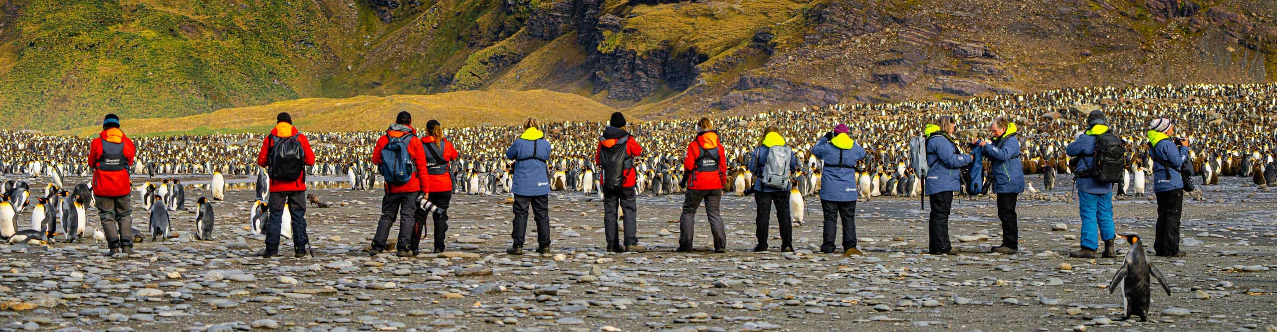 Intrepid Travel Antarctica OE3 Falkland Islands Tour Group Penguins 42 2560  ?width=2560&crop=2560%2C667%2Coffset X50%2Coffset Y50&quality=75&format=pjpg&auto=webp