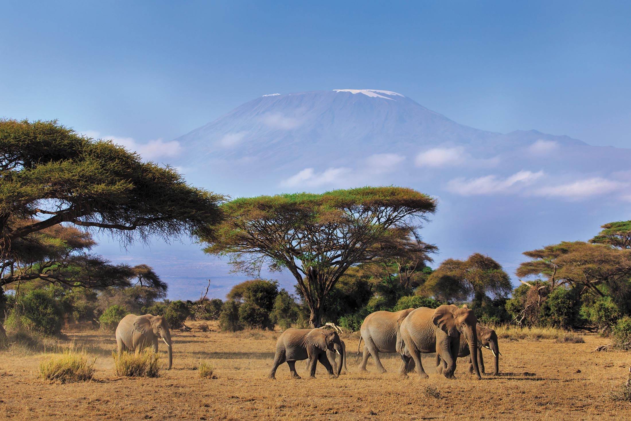 Safari to Kilimanjaro - Machame Route