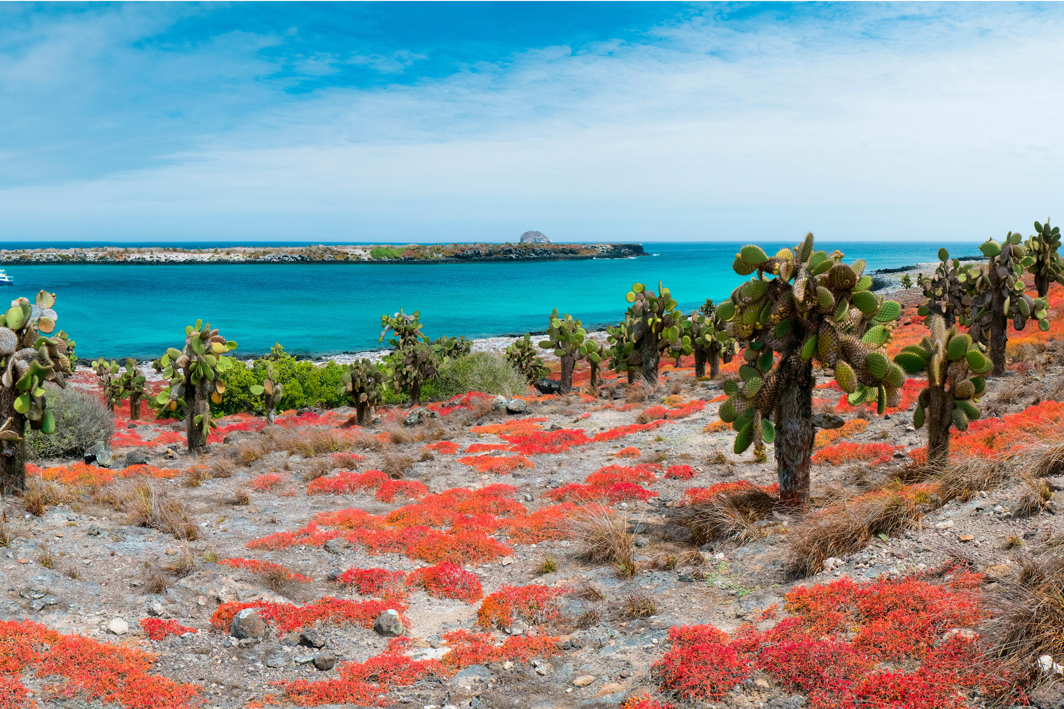 Galapagos at a Glance: Southern Islands (Grand Daphne)